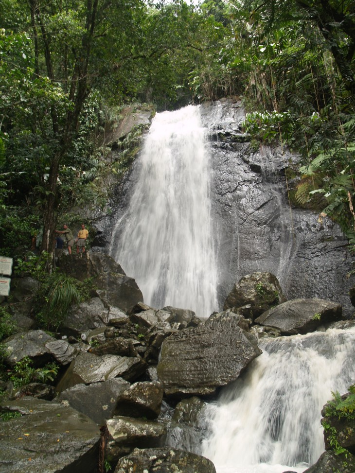 P5246658 road side falls